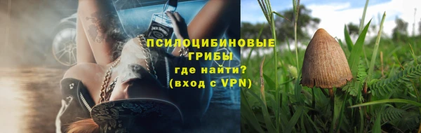 трава Балахна