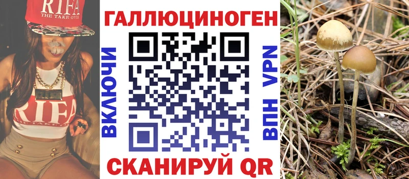 Галлюциногенные грибы GOLDEN TEACHER  darknet Telegram  Высоцк  МЕГА ссылка 