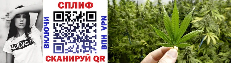 где купить наркоту Высоцк Бошки Шишки Ganja
